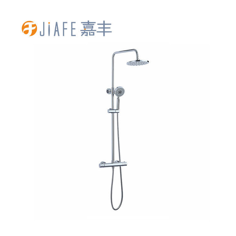 Components and features of a shower column