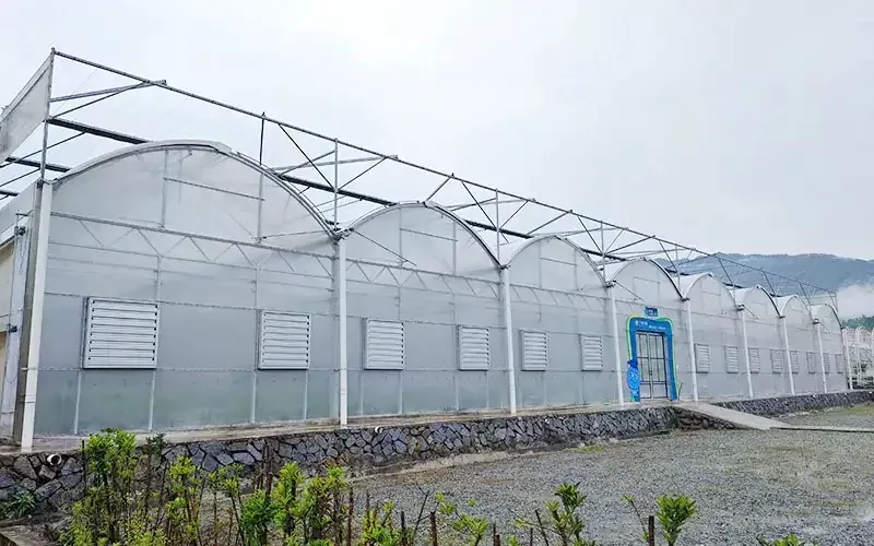Plastic Greenhouses: A Modern Solution for Year-Round Farming