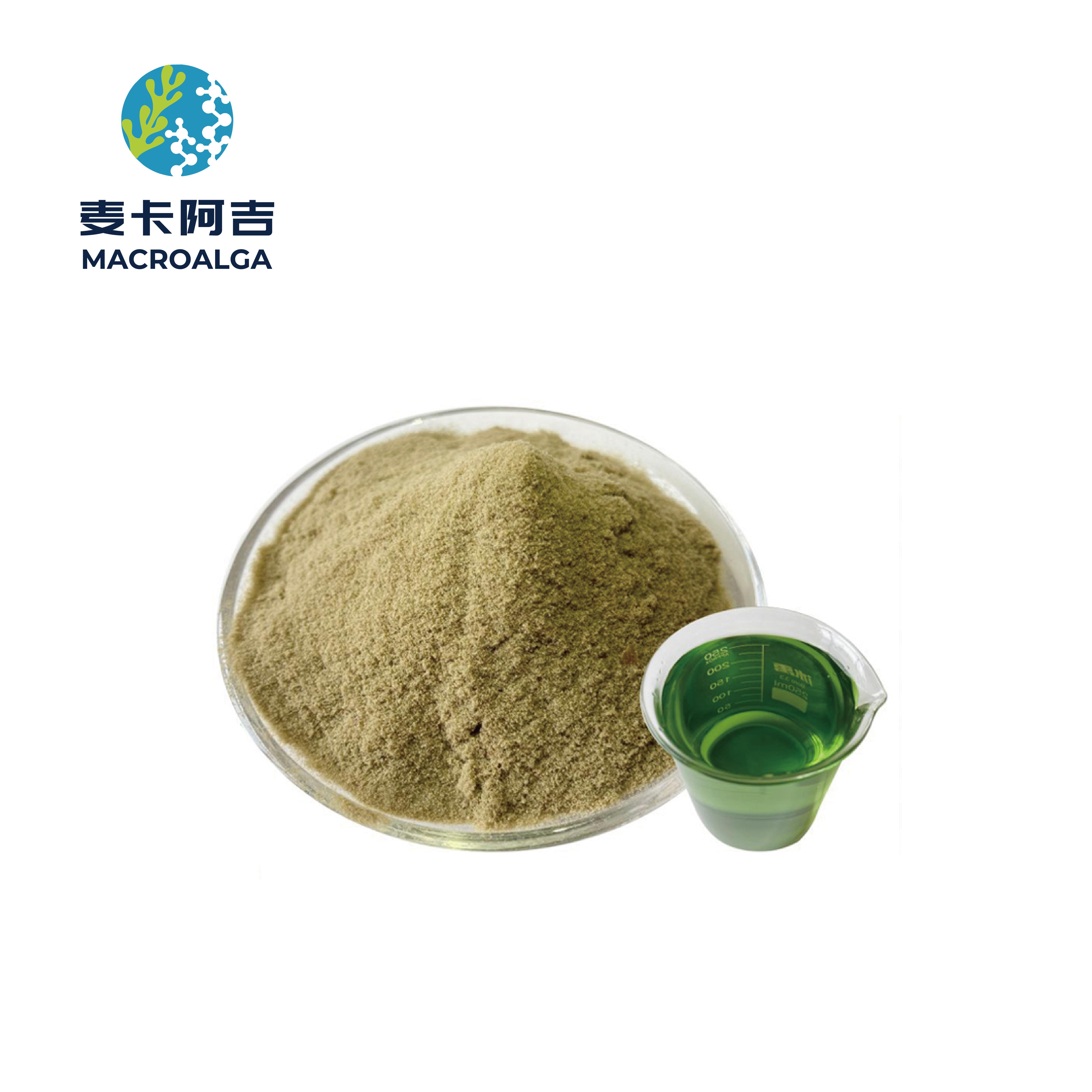 Trusted Seaweed Fertilizer Supplier for Healthy Crops