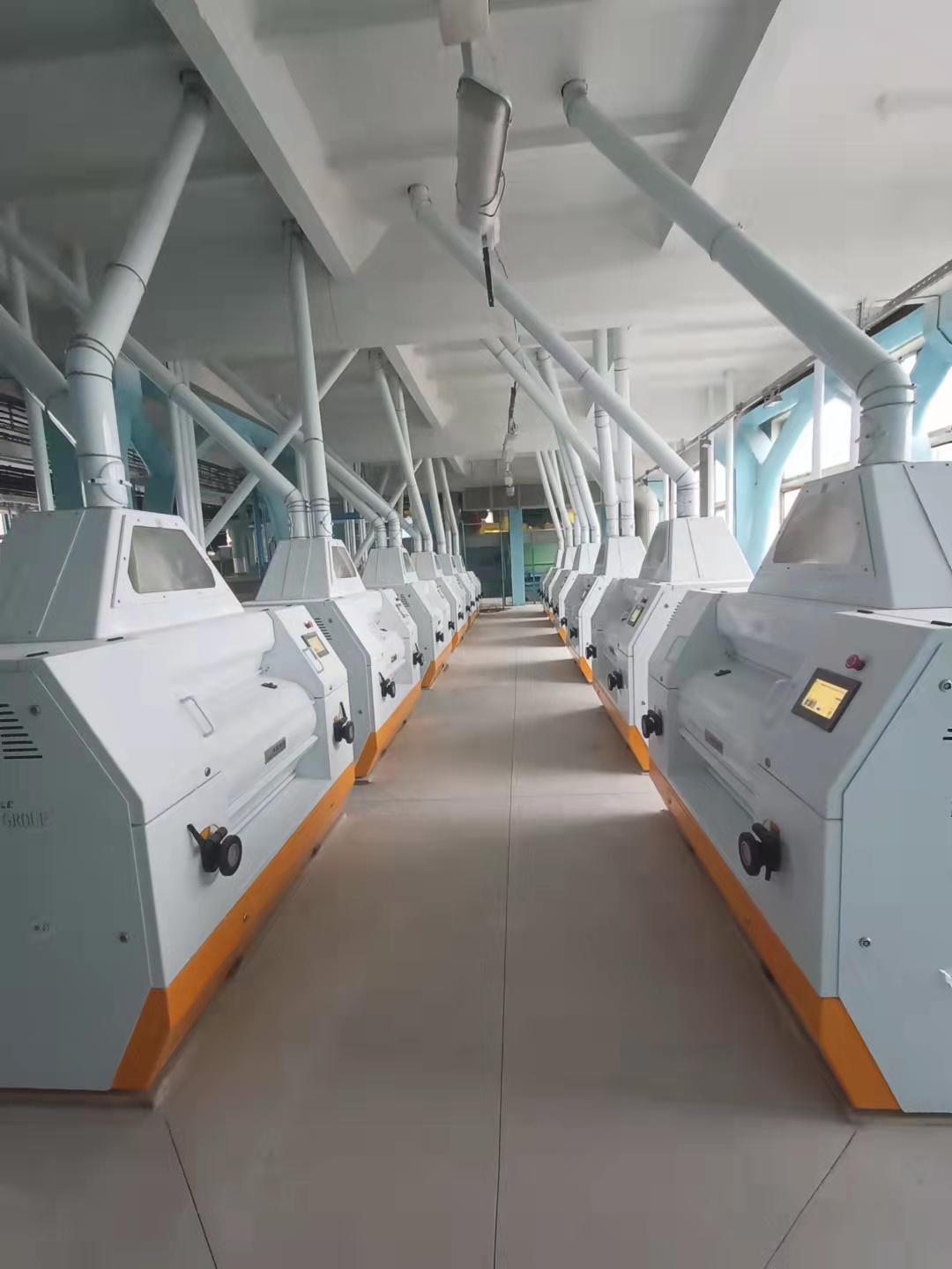 Professional Wheat Grain Mill Equipment That Delivers Superior Flour Every Time